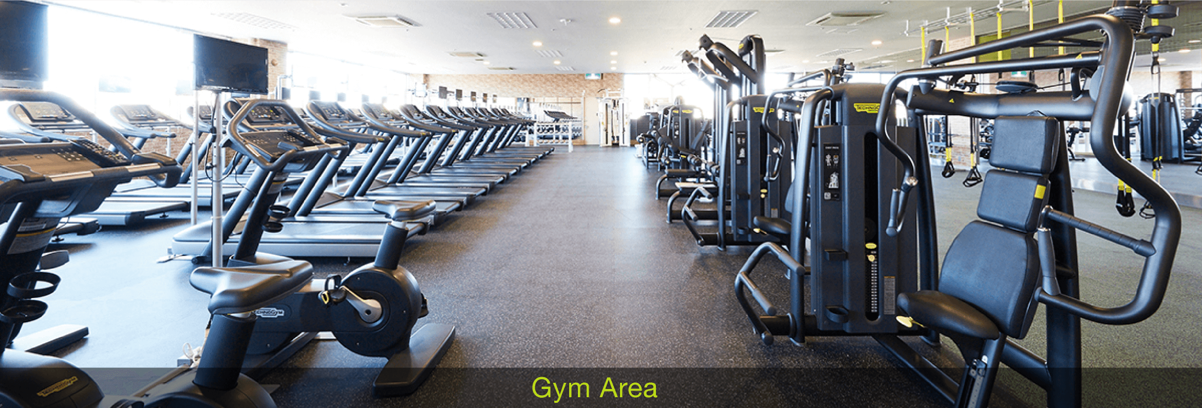 Gym Area