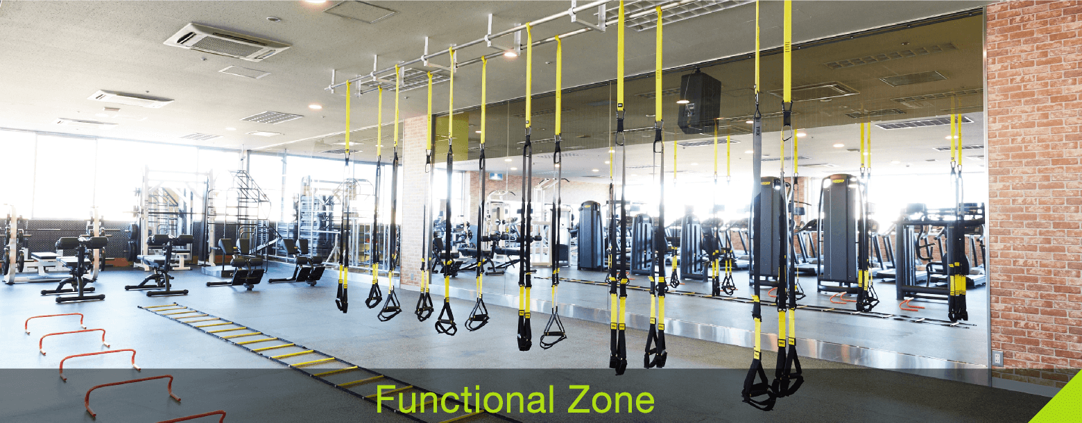 Functional Zone