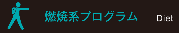 燃焼系プログラム